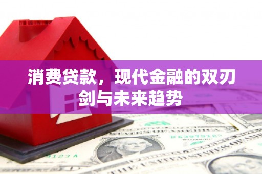 长寿消费贷款，现代金融的双刃剑与未来趋势