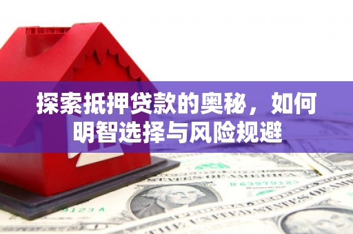 长寿探索抵押贷款的奥秘，如何明智选择与风险规避