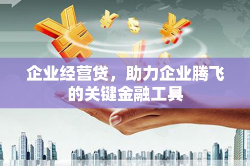 长寿企业经营贷，助力企业腾飞的关键金融工具