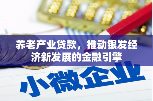 长寿养老产业贷款，推动银发经济新发展的金融引擎