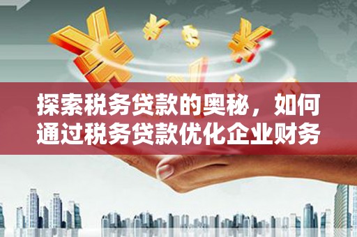 长寿探索税务贷款的奥秘，如何通过税务贷款优化企业财务