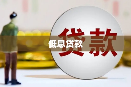 长寿低息贷款