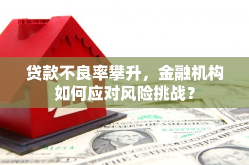 长寿贷款不良率攀升，金融机构如何应对风险挑战？