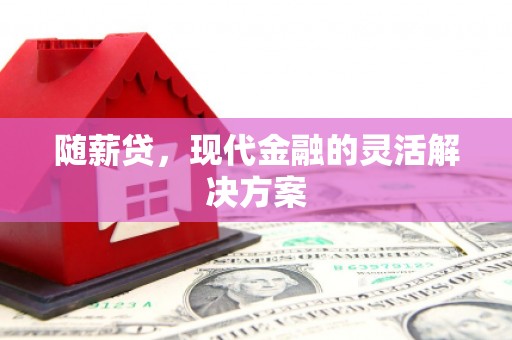长寿随薪贷，现代金融的灵活解决方案