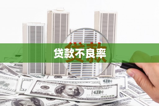 长寿贷款不良率