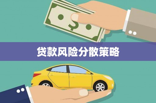 长寿贷款风险分散策略