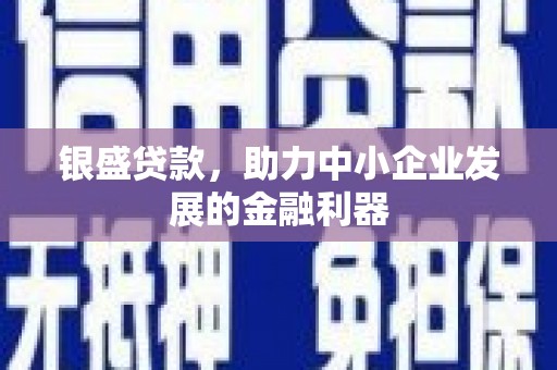 长寿银盛贷款，助力中小企业发展的金融利器