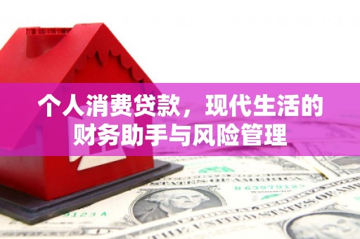 长寿个人消费贷款，现代生活的财务助手与风险管理