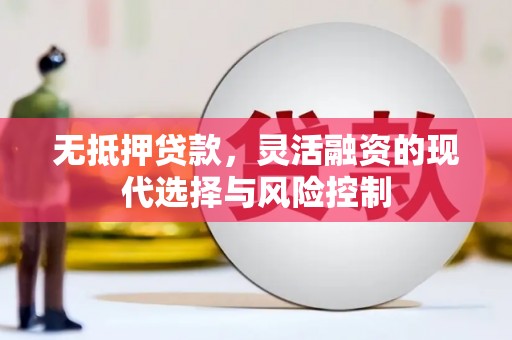 长寿无抵押贷款，灵活融资的现代选择与风险控制