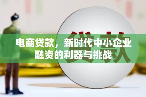 长寿电商贷款，新时代中小企业融资的利器与挑战