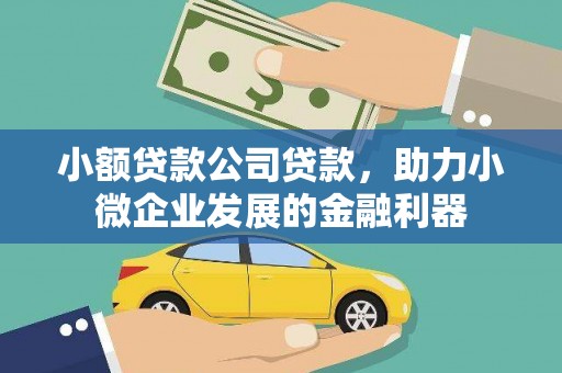 长寿小额贷款公司贷款，助力小微企业发展的金融利器