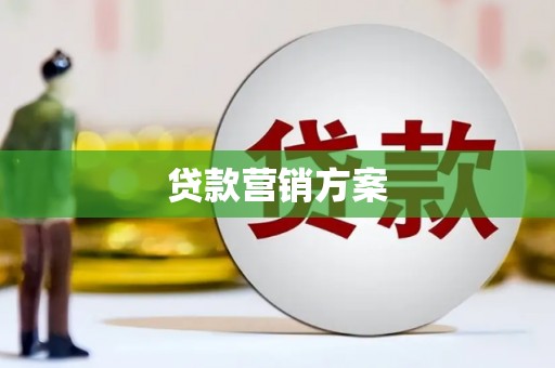 长寿贷款营销方案