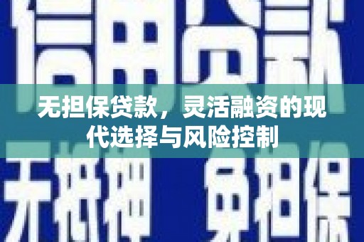 长寿无担保贷款，灵活融资的现代选择与风险控制