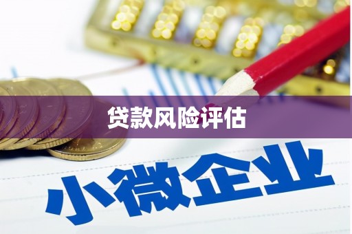 长寿贷款风险评估