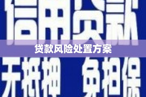 长寿贷款风险处置方案