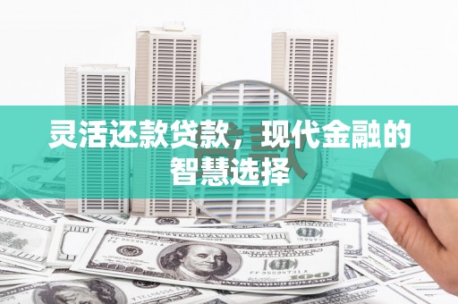 长寿灵活还款贷款，现代金融的智慧选择