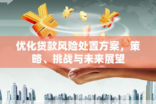 长寿优化贷款风险处置方案，策略、挑战与未来展望