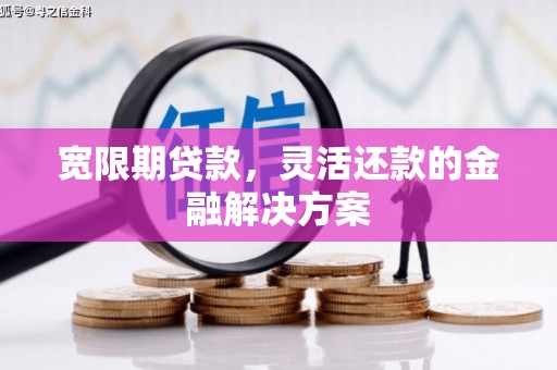 长寿宽限期贷款，灵活还款的金融解决方案