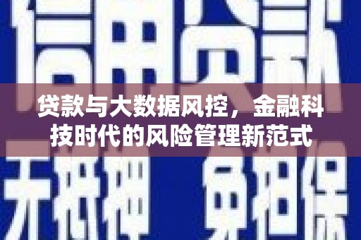 长寿贷款与大数据风控，金融科技时代的风险管理新范式