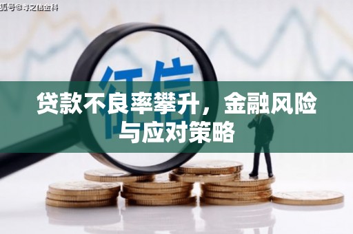 长寿贷款不良率攀升，金融风险与应对策略