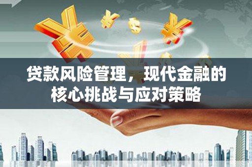长寿贷款风险管理，现代金融的核心挑战与应对策略