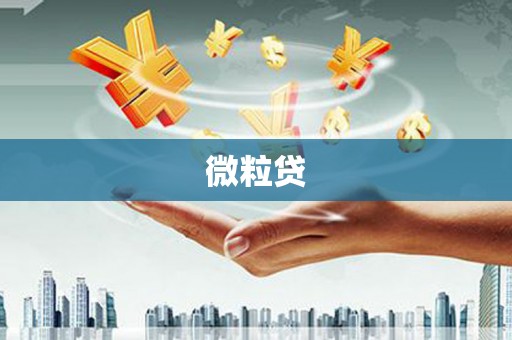 长寿微粒贷