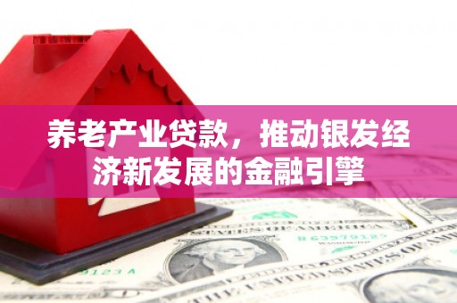长寿养老产业贷款，推动银发经济新发展的金融引擎
