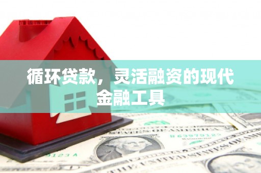 长寿循环贷款，灵活融资的现代金融工具