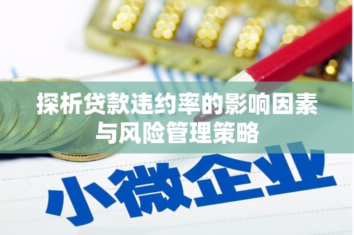 长寿探析贷款违约率的影响因素与风险管理策略