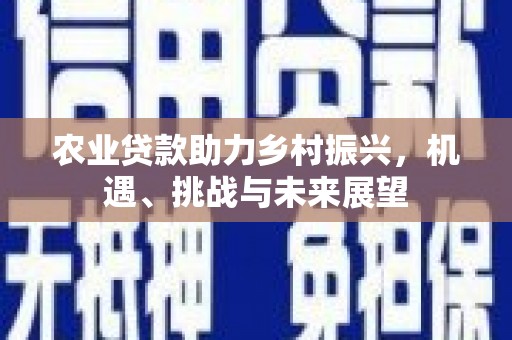 长寿农业贷款助力乡村振兴，机遇、挑战与未来展望
