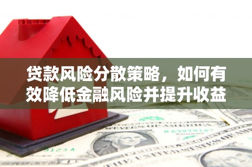 长寿贷款风险分散策略，如何有效降低金融风险并提升收益