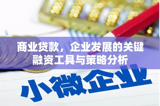 长寿商业贷款，企业发展的关键融资工具与策略分析