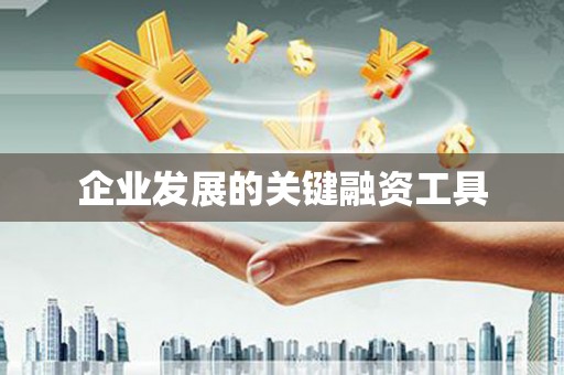 长寿企业发展的关键融资工具