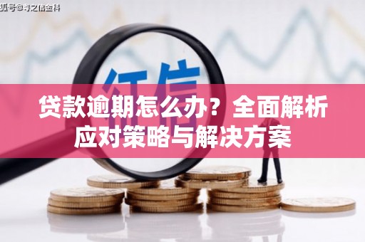 长寿贷款逾期怎么办？全面解析应对策略与解决方案