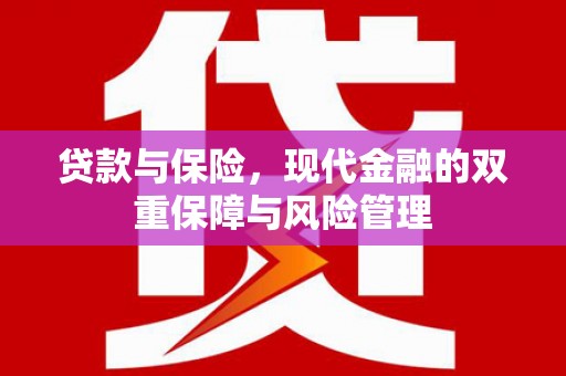长寿贷款与保险，现代金融的双重保障与风险管理