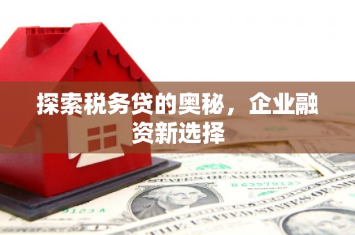长寿探索税务贷的奥秘，企业融资新选择