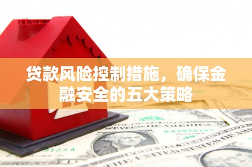 长寿贷款风险控制措施，确保金融安全的五大策略