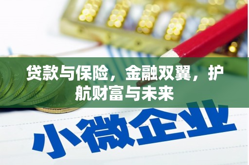 长寿贷款与保险，金融双翼，护航财富与未来