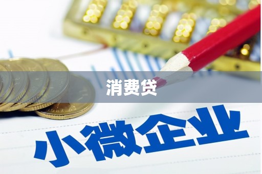 长寿消费贷