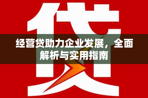 长寿经营贷助力企业发展，全面解析与实用指南