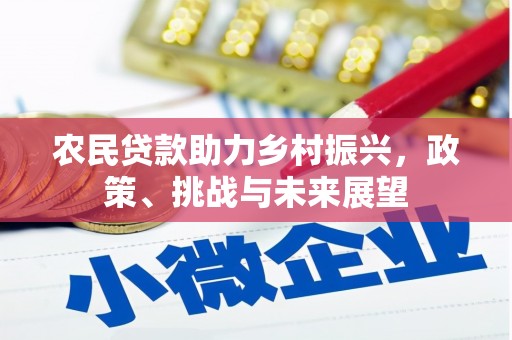 长寿农民贷款助力乡村振兴，政策、挑战与未来展望