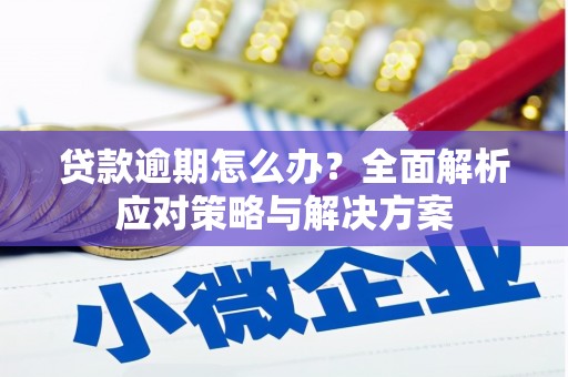 长寿贷款逾期怎么办？全面解析应对策略与解决方案