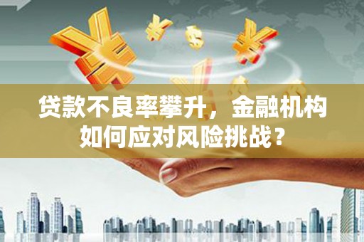 长寿贷款不良率攀升，金融机构如何应对风险挑战？