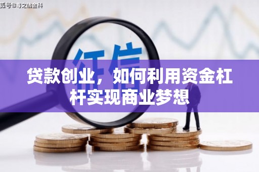 长寿贷款创业，如何利用资金杠杆实现商业梦想