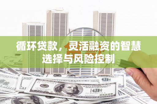 长寿循环贷款，灵活融资的智慧选择与风险控制