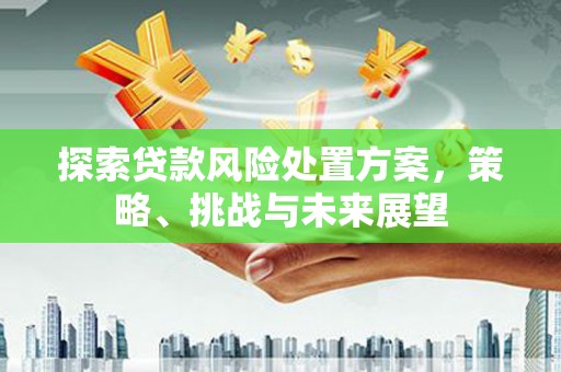 长寿探索贷款风险处置方案，策略、挑战与未来展望