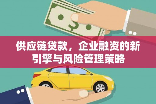 长寿供应链贷款，企业融资的新引擎与风险管理策略