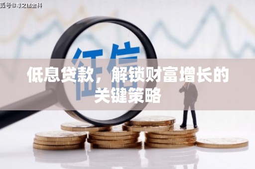 长寿低息贷款，解锁财富增长的关键策略