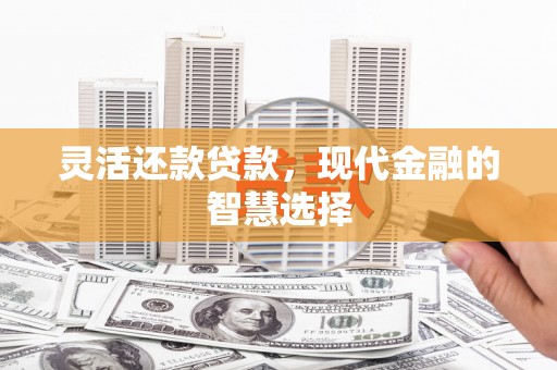 长寿灵活还款贷款，现代金融的智慧选择