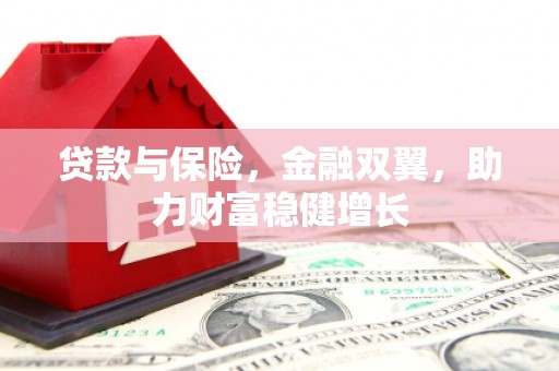长寿贷款与保险，金融双翼，助力财富稳健增长